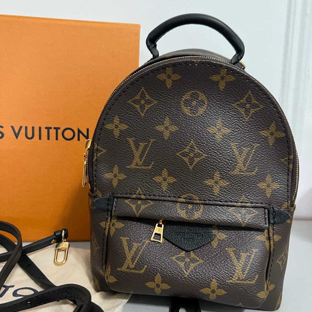 Louis Vuitton Palm Springs Mini Backpack Monogram